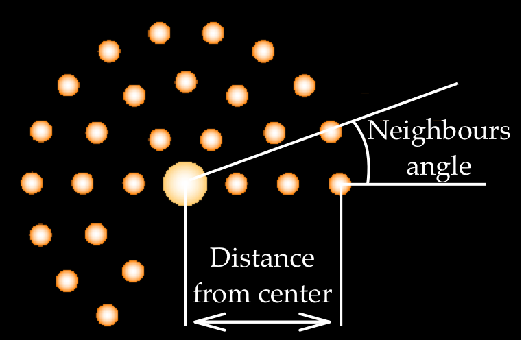 Distance from center and angle between neighbours.