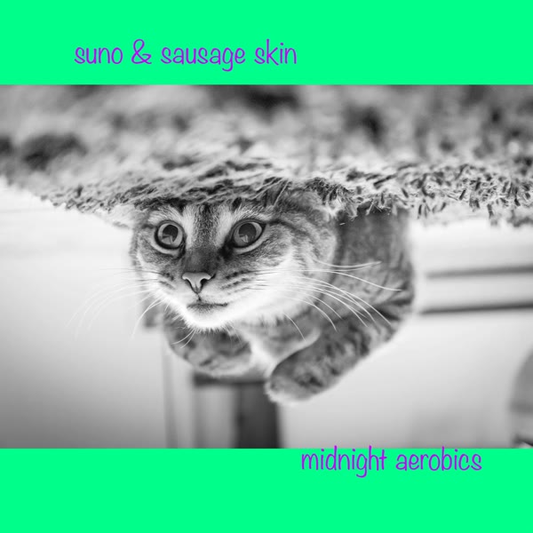 Sausage Skin - midnight aerobics