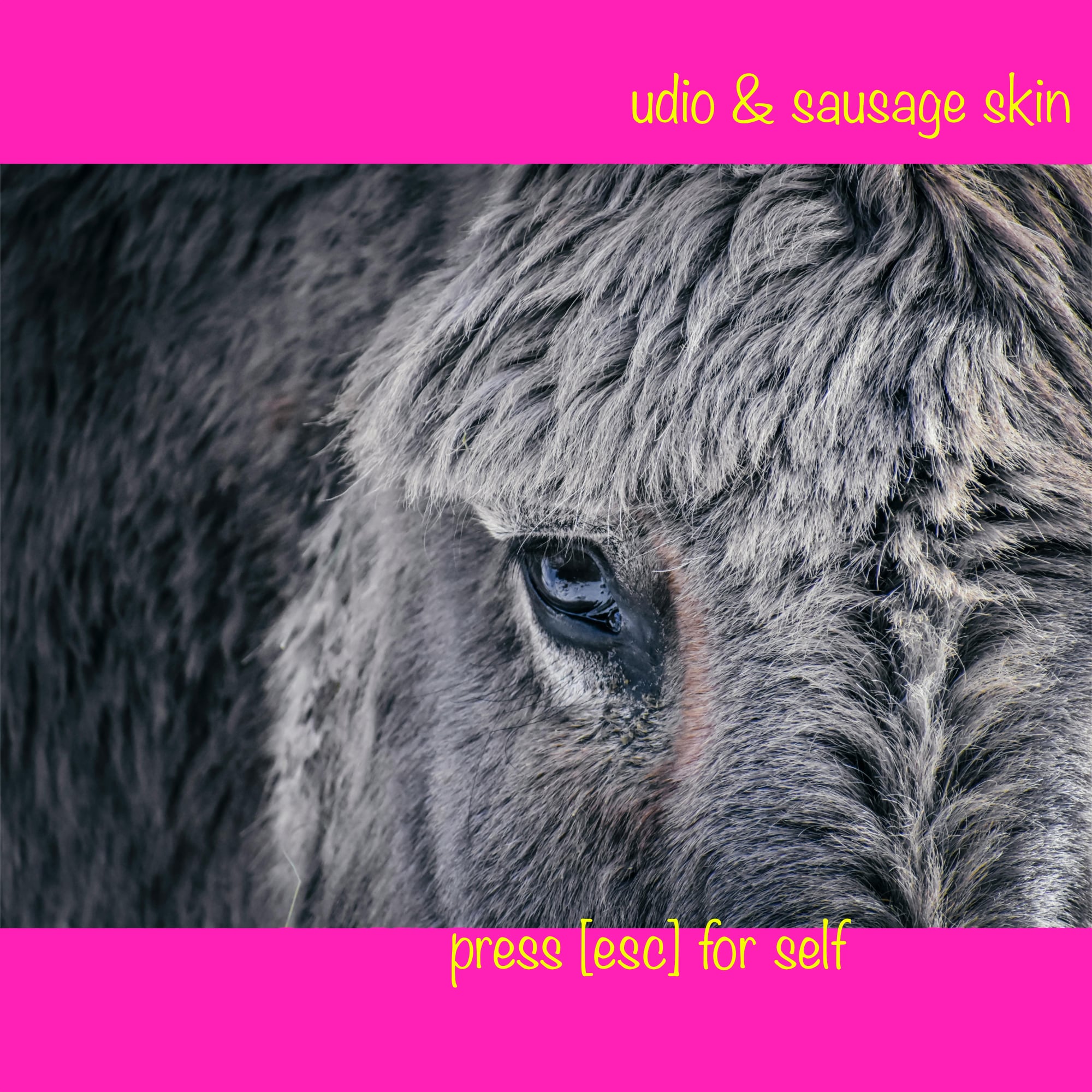 Sausage Skin - press [esc] for self