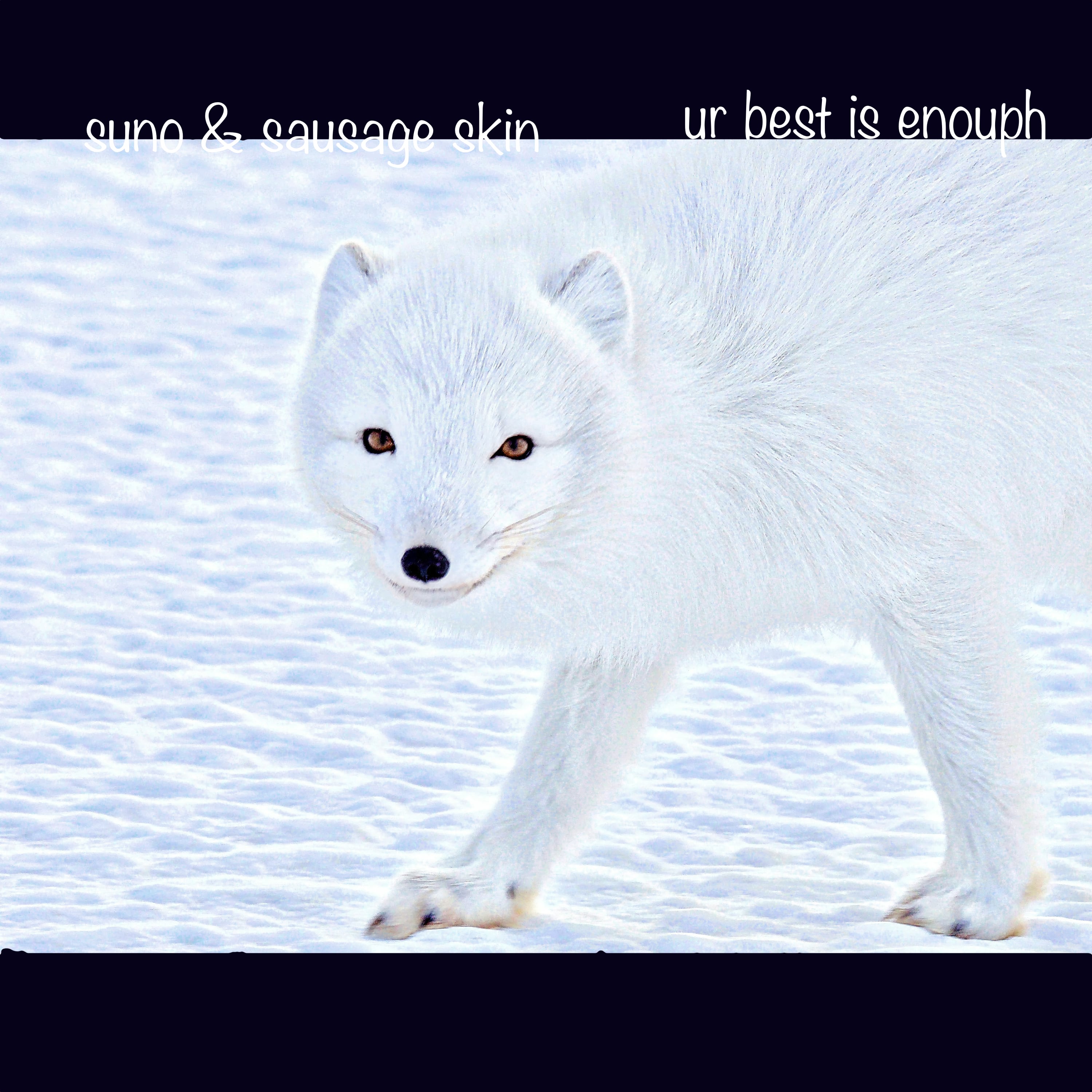 Sausage Skin - ur best is enouph