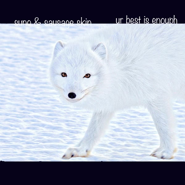 Sausage Skin - ur best is enouph